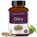 Herb Essential Giloy Tablets - 500mg 60 Tablet, Guduchi (Tinospora Cordifolia), Ayurvedic Herbal Supplement, Vegan & Paraben Free - 60 Tablets (Pack of 1)