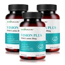 Vision Plus Eye Vitamins with Lutein 20mg, Bilberry & Blueberry Extract - Key Antioxidants for Eye Health Support - 90 Capsules, Non-GMO