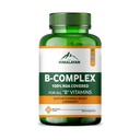 Plant Based Vitamin B Complex Supplement | Methylated Vitamin B12 1000 mcg with B1, B2, B3, B5, B6 | B12 Sublingual & Organic B Vitamins for Energy, Nervous System, Digestion & Immunity – 60 Tablets