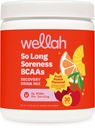 Wellah BCAAs (Fruit Punch Flavored) 30 Servings - BCAA Powder with Hydration Complex