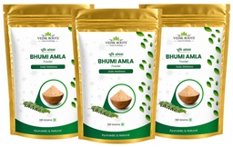 Bhumi Amla Powder (Phyllanthus Niruri) | Raw Ayurvedic Herb | Single Ingredient | 100% Pure & Natural | 100g (Pack of 3)