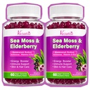 2 Pack Elderberry Gummies with Sea Moss, Extra Strength Elderberry with Vitamin C, Zinc for Immune Support for Adults, Kids, Women & Men, Blueberry Flavor 120Cts