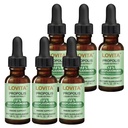 LOVITA 6 Bottles Value Pack, Bee Propolis Liquid Extract 500mg, 5:1 Resin Drops with 18% Bioflavonoids, Alcohol-Free Antioxidant, Immune Support & Throat Soothing