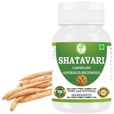 Shatavari Capsules 500 mg | Asparagus Racemosus Extract | 60 Vegan Capsules Pack | Natural Ayurvedic Herbal Supplement for Women | Plant-Based Formula for Daily Wellness