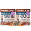Pets are Kids Turkey Tail Mushroom for Dogs with Organic Real Turkey Tail™ - 8:1 Extract Mushroom Chews for Immune System Health, Gut, Skin & Joint Support - Reishi, Lion's Mane - 240 Chews