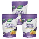 Nature's Way Sambucus Zinc Lozenges With Elderberry and Vitamin C, Honey Lemon Flavor, 24 Lozenges (3 Pack)