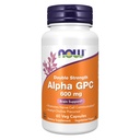 Now Supplements, Alpha GPC 600 mg with Bioavailable Source of Choline, 60 Veg Capsules