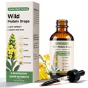 Mullein Drops for Lungs, Mullein Leaf Extract Supplement, Support Lung Health & Respiratory Health, Pure Formula, Rapid Absorption - 60ml