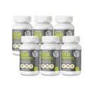 NANOWELL 55B Probiotics with Digestive Enzymes for Immune Support & Gut Health - 55 Billion CFU, 12 Strain, 185 mg Prebiotic - Relieves Gas & Bloating - 30 Vegan Capsules x 6 Bottles (180 Count)