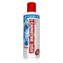 5% Nutrition Rich Piana Liquid L-Carnitine 3150 | Premium 4 Source Blend + GBB, The Super Carnitine (Blue Raspberry)