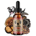 MycoDog Vitality - 20-in-1 Turkey Tail Mushroom for Dogs - Mushroom & Adaptogen Supplement for Senior Dogs - Supporting Immune Health & Daily Wellness - with Reishi, Chaga