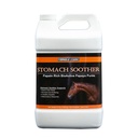 Formula 1 Noni Papaya Stomach Soother Gallon 1G