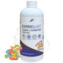 Bricker Labs CARNIBLAST Liquid L-Carnitine 3000mg with Carnipure & GBB – Energy, Stamina & Endurance Support, Pre- & Post-Workout, Sour Fruit Flavor, 16 FL Oz