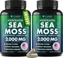 Sea Moss Κάψουλες - Ιρλανδική Θάλασσα Moss Advanced with Burdock Root, Bladderwrack & Muira Puama for Immunity, Gut, & Energy - Superfood Sea Moss Συμπληρώματα w/Raw Sea Moss Powder (2 Pack)