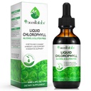 Chlorophyll Liquid Drops, Natural Chlorophyll, Supports for Body Cleansing, Promoting Skin Health & Digestion, Men & Women, Mint Flavor | 60ml