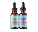 JoySpring Kids Daily Confidence & Focus Routine – Liquid Chlorophyll Drops with Elderberry + Ginkgo Biloba Herbal Focus Drops for Kids – Body Deodorizing & Learning Support Wellness Routine