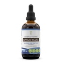 Secrets of the Tribe Ginkgo Biloba Tincture Alcohol-Free Extract, High-Potency Herbal Drops, Tincture Made from Ginkgo Biloba Positive Cognition 4 oz