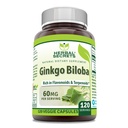 Herbal Secrets Ginkgo Biloba Supplement | (Ginkgo Leaf Extract) | 60 Mg Per Serving | 120 Veggie Capsules | Non-GMO | Gluten-Free | Made in USA