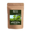 Blessfull Healing Organic Ginkgo Biloba Powder 100% Pure Natural 100 Gram / 3.52 oz