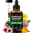 Venture Pal 16-in-1 Lymphatic Drainage Drops - 120 Servings - Echinacea, Dandelion, Burdock & Vitamins, Alternative to Lymphatic Drainage Massager, 4 fl oz