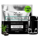 ORLO Prenatal DHA Supplement 1000mg - Mercury & Heavy Metals Free Algae Oil - Icelandic Nordic Omega-3, Mom & Baby Brain Development, No Fishy Aftertaste, 120 Vegan Easy-to-Swallow Mini Softgels & Jar