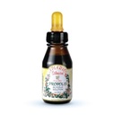 Apiário Silvestre Brazilian Green Propolis Liquid Drops, Concentrated Alcohol-Free Glycolic Extract, Class A Bee Propolis, Immune & Antioxidant Support, Halal, GMP & HACCP, 30 mL