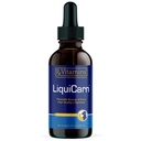 Rx Vitamins LiquiCarn - Pure L-Carnitine for Dogs and Cats to Aid in Dog Weight Loss - Provides High Energy and Helps in Metabolism - Supports Heart Health - 4oz (Bacon-Liver Flavor)