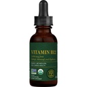 Global Healing Center - Vitamin B12 Sublingual 5000 MCG Organic Liquid Supplement, Methylcobalamin, Adenosylcobalamin, Hydroxo Long-Lasting Energy and Healthy Metabolism - Vegan B12 Vitamins (1 mL)