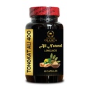 Longjack Tongkat Ali for Men – Natural Root Supplement for Wellness and Clean Living - Tongkat Ali Longjack - Natural Energy Supplement - 1 Bottle 60 Capsules