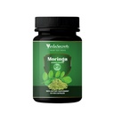 Moringa Capsules 60 Count Made with Organic Moringa Powder | Phyllanthus Emblica | Herbal Supplement | Ayurvedic Nutrition | Natural Wellness | Immune & Energy Support