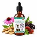 Rejuvica Health Active Adrenal - Advanced Adrenal Support Tincture - Liquid Delivery for Better Absorption - Ashwagandha, B-Vitamins, Magnesium and More