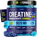 Thinbi Creatine Gummies for Men & Women – 9020mg 5-in-1 Complex, 5G Creatine Monohydrate Per Serving – Sugar Free Blueberry with B12 & L-Taurine – Muscle Strength, Recovery & Endurance – 120 Count