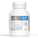 Bio Island Cod Liver + Fish Oil 90 Capsules