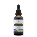 Secrets of the Tribe Muira Puama Tincture Alcohol-Free Liquid Extract, Muira Puama (Ptychopetalum Olacoides) Dried Bark (2 FL OZ)