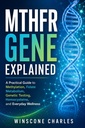 MTHFR Gene Explained: A Practical Guide to Methylation, Folate Metabolism, Genetic Testing, Homocysteine, and Everyday Wellness