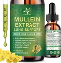 (2 Pack) 6 Σε 1 Mullein Drops για τους πνεύμονες, Βιολογικό εκχύλισμα φύλλων Mullein Βάμμα για τους πνεύμονες, Detox Cleanse & αναπνευστικό για την αναπνοή Υγεία, συμπλήρωμα λαδιού Mullein Ανοσολογική υποστήριξη, Vegan, 1 Fl Oz
