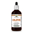 Olive (Olea Europaea) Dry Leaf Glycerite, All Natural, Vegan, Lab Tested Alcohol-Free Liquid Extract - 4 fl.oz