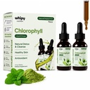 2 Pack Chlorophyll Liquid Drops for Women and Men, Liquid Chlorophyll Drops with Sodium Copper Chlorophyllin, Healthy Skin and Antioxidant Support, Natural Peppermint, 2x1fl oz