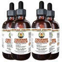 Hawaii Pharm Chinese Licorice Alcohol-Free Liquid Extract, Chinese Licorice (Glycyrrhiza Uralensis) Root Glycerite Natural Herbal Supplement 4x4 oz