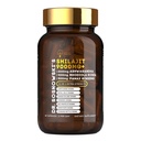 Dr Sosnowski's BioActive Shilajit Blend with Ashwagandha, Rhodiola Rosea, Lions Mane, Panax Ginseng, Royal Jelly, Ginkgo Biloba, Turmeric, Bee Propolis, Cordyceps & Stinging Nettle | 60 Capsules