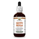 Gotu Kola (Centella Asiatica) Dry Leaf Glycerite, Made in Hawaii, Raw Materials, All Natural, Vegan, Lab Tested Alcohol-Free Liquid Extract - 2 fl.oz