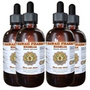 Kigelia Liquid Extract, Kigelia (Kigelia Africana) Seed Powder Tincture Supplement 4x4 oz