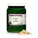Standard Process Inc. Equine GI Support - Digestion Support Formula for Horses - Equine GI Health Support Powder Supplement - Whole Food Horse Supplement with Prebiotic Inulin - 850 g