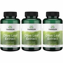 Swanson Olive Leaf Extract Immune and Cardiovascular Health Supplement for Adults Seeking Year-Round Immune Support - 20% Oleuropein (120 Capsules, 500 mg, 3 Pack)