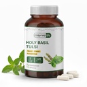 Holy Basil (Tulsi) Extract 300 mg per Capsule - Standardized with 20% Tannins, 3% Eugenol & 1% Rosmarinic Acid - Herbal Supplement - 120 Capsules