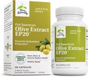 Terry Naturally Olive Extract EP20 - Brain & Healthy Aging - 60 Count | Brain Health, Immune Function and Antioxidant Support. 60 capsules.