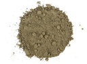 NY Spice Shop Noni Fruit Powder - 8 Ounce Natural Morinda Citrifolia Fruit Ground - Pure Noni Extract Dietary Supplement - Nooni Fruits Superfood Ground For Tea And Herbal Drinks