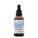 Mullein Flower Alcohol-Free Natural Tincture Extract, Immune System Booster, Liquid Drops Made from 100% (2 fl oz)