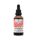 Elecampane Alcohol-Free Natural Tincture Extract, Immune System Booster, Liquid Drops Made from 100% Elecampane (Inula helenium) Dried Root (2 fl oz)