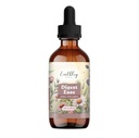 Earthley Wellness Digest Ease, Herbal Digestive Support Tincture for Gut Health, Stomach Relief, and Digestive Wellness | Organic Herbs Like Echinacea Leaf, Turmeric Root, Marshmallow Root, (2oz)
